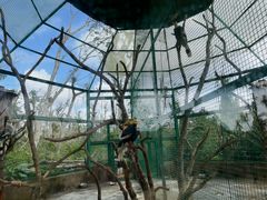 -海南热带野生动植物园