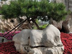 -西海子公园