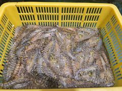 -爷爷的草帽·海鲜馆(孙塘路店)