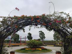 -芒洲湿地公园