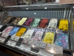 -iceason爱茜茜里·意大利健康冰淇淋(骑龙巷店)