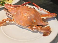 -开海·红岛海鲜虾水饺(万象城店)