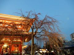 -东京都厅舍