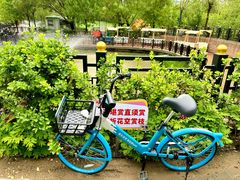 -太阳宫公园