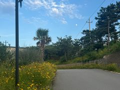 -舟山嵊泗列岛风景名胜区