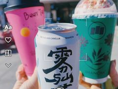 -雾与山茶(大禹城店)
