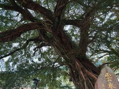 -云水谣景区