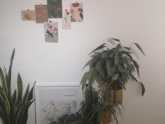 -隹木咖啡馆(宝龙广场店)