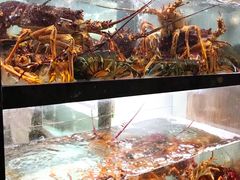 -甄御•海鲜新青岛菜(麦岛店)