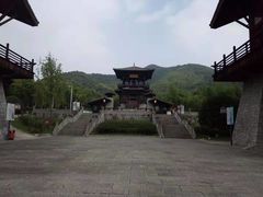 -大唐贡茶院