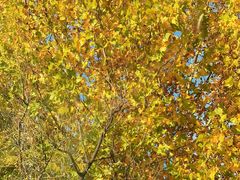 -天津二七二医院