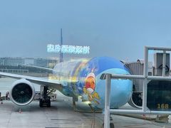 -广州白云国际机场-T2航站楼