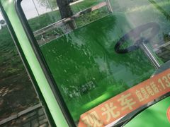 -长白岛森林公园