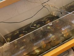 -十八字金银饰·拼豆·开蚌手工体验团建(君太百货店)