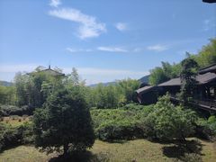 -大唐贡茶院