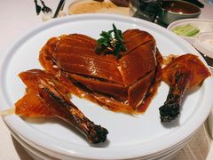 精品烤鸭-悦江(梅奔中心店)
