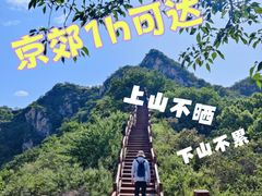 -大岭沟猕猴桃谷风景区