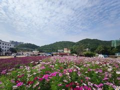 -玫瑰海岸文化旅游度假区