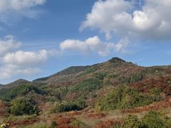 -四明山国家森林公园