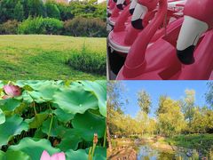 -中央广播电视塔