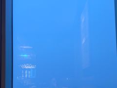 -大堂酒廊·富力丽思卡尔顿酒店