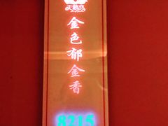 -天鹅恋酒店(大坪龙湖时代天街石油路地铁站店)