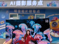 -海合安成都极地海洋公园