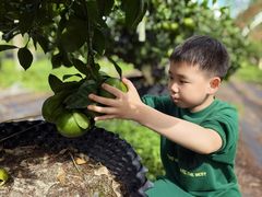 -前小桔亲子创意农场·草莓采摘·露营烧烤