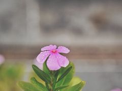 -山塘街