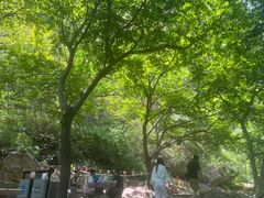 -京东石林峡风景区