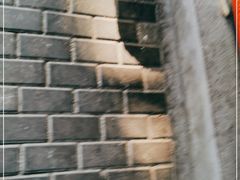 -百家春好德来姜母鸭