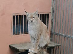 -青藏高原野生动物园