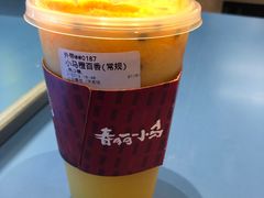 -春丽小马(济南恒隆广场店)
