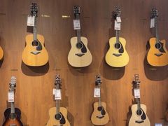 -知音艺术教育培训·钢琴培训·音乐培训(河西金鹰世界校区)