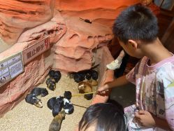 -Zoolung Zoolung动物主题公园(海信广场店)