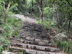 -紫金山山顶公园