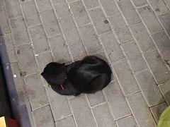 -玉泉观