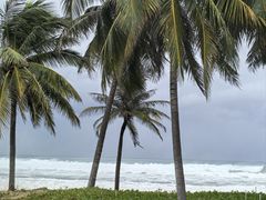 -海南清水湾莱佛士酒店