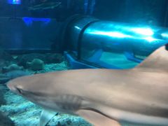 -福州罗源湾海洋世界旅游区