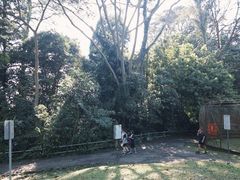 -武吉知马自然保护区