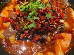 -川堂风·跷脚牛肉·乐山爆炒(宝山日月光店)