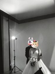 -金夫人婚纱摄影(总店)
