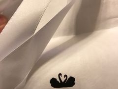 -BLACKSWAN黑天鹅(环球店)