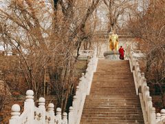 -塔尔寺
