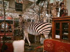 -栖露营camping·天幕烧烤·团建拓展·采摘营地
