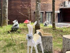-洛阳白云山景区
