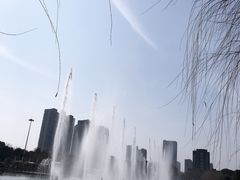 -桐乡植物园