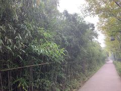 -西安汉城湖景区