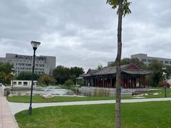 -东北农业大学