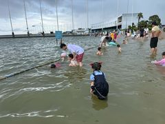 -碧海金沙